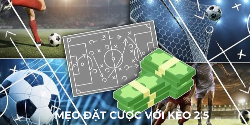 Mẹo đặt cược bóng đá trực tuyến 1XBET với kèo 2.5